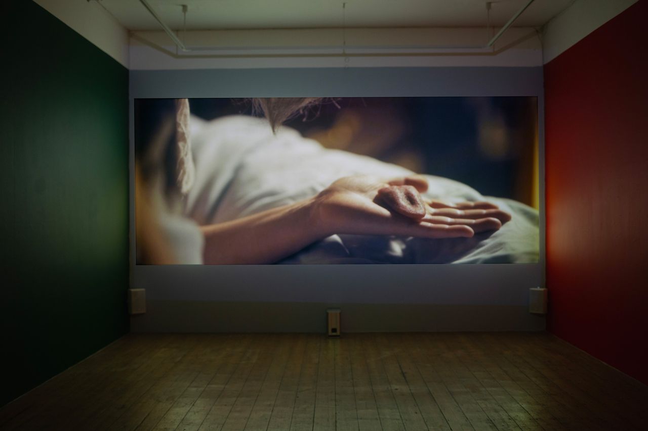 Kat-Anderson_Install-shots.jpg