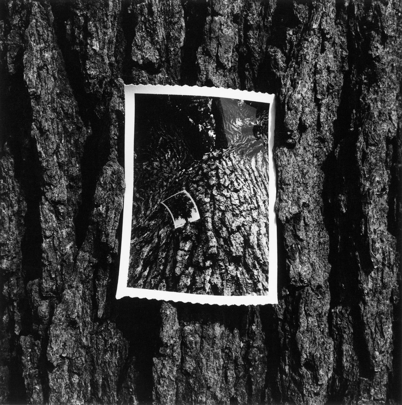Kenneth Josephson Metalmagazine 10.jpg