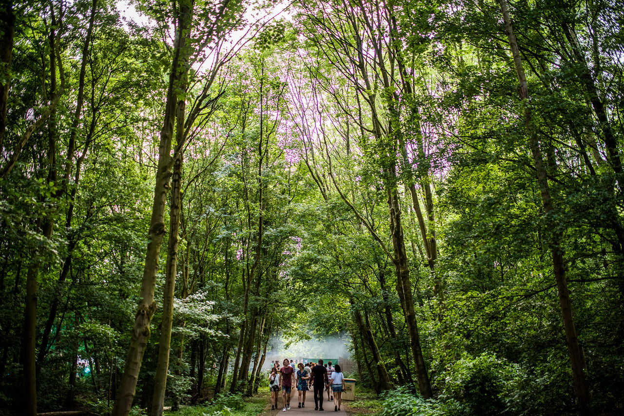 5   Lente Kabinet Festival 2019   Please Credit Yannick Van De Wijngaert.jpg