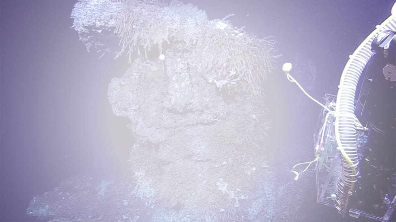 Inhabitants What Is Deep Sea Mining Tb A21 Academy 2018.jpg