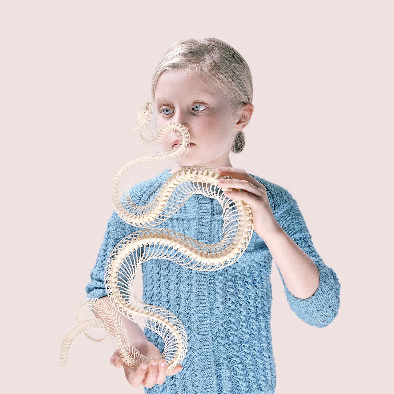 Petrina Hicks 3.jpg