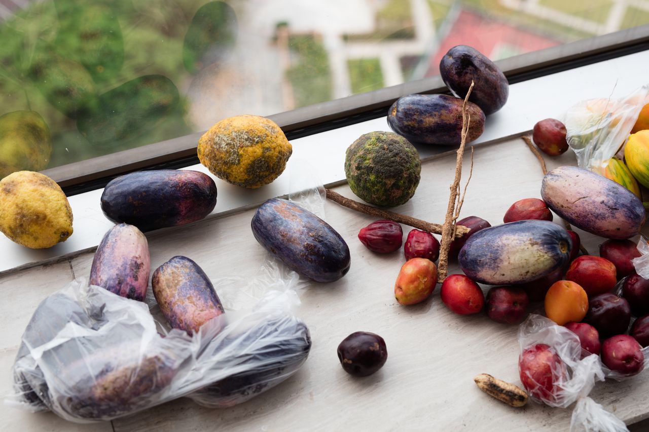 Wt F 2018 025 Kinshasa Still Life A4.jpg