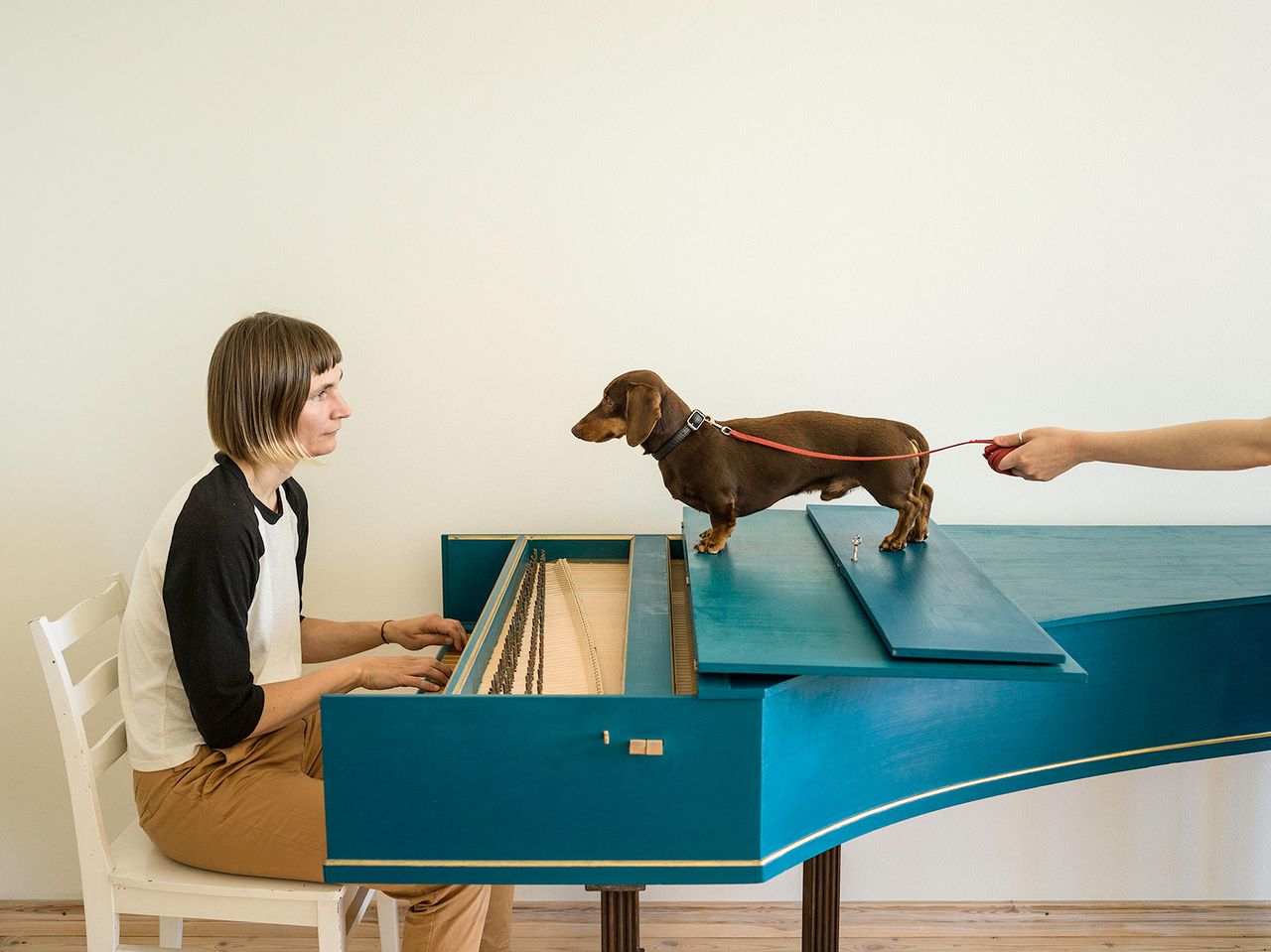 Elina Brotherus Flux Harpsichord Concert Camara Oscura.jpg