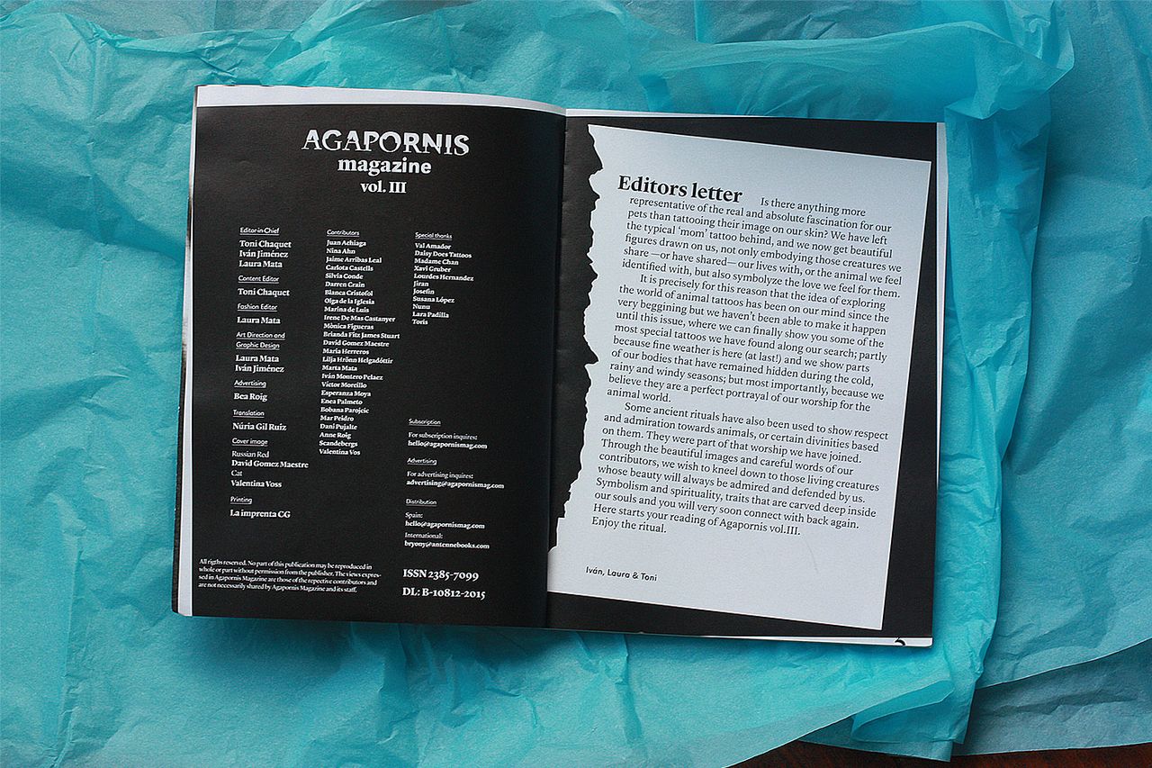 Agapornis Vol3 3.jpg