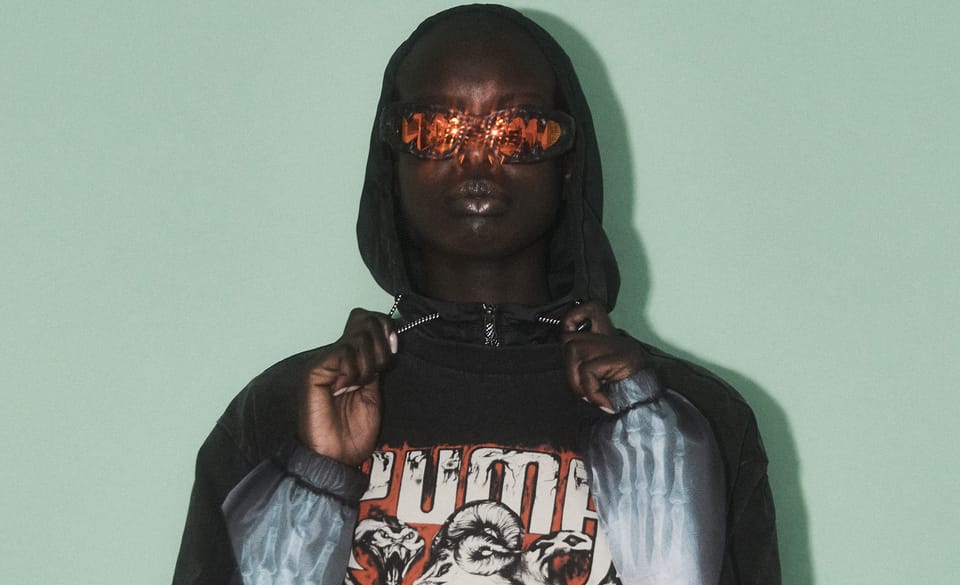 Puma x Aries