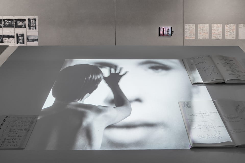 A Kind of Language: Storyboard and Other Renderings for Cinema