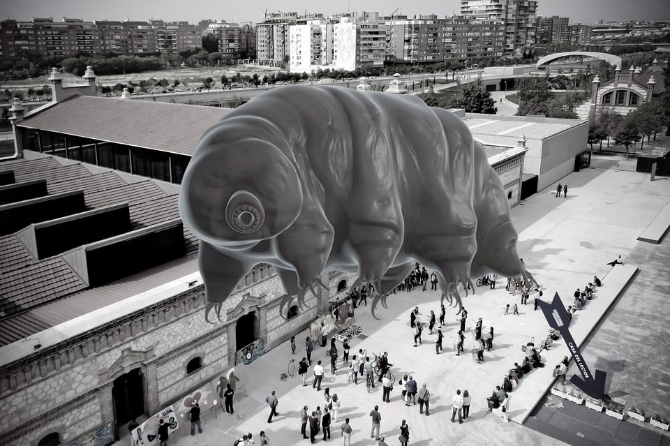 L.E.V. Matadero 2024