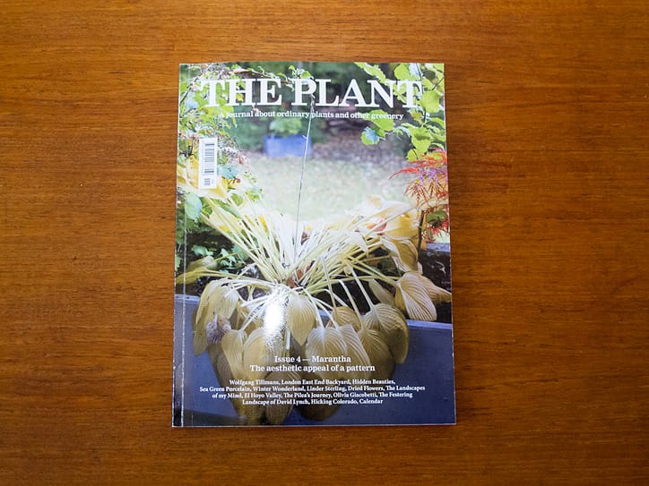 The Plant