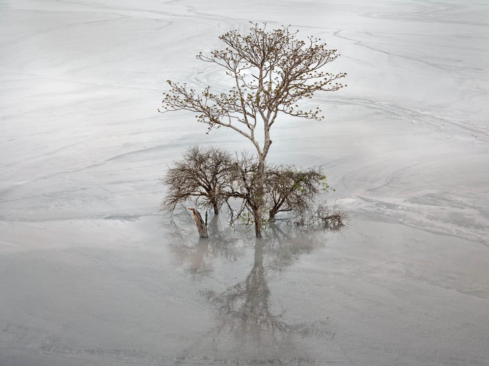 Edward Burtynsky: Natural Commodities