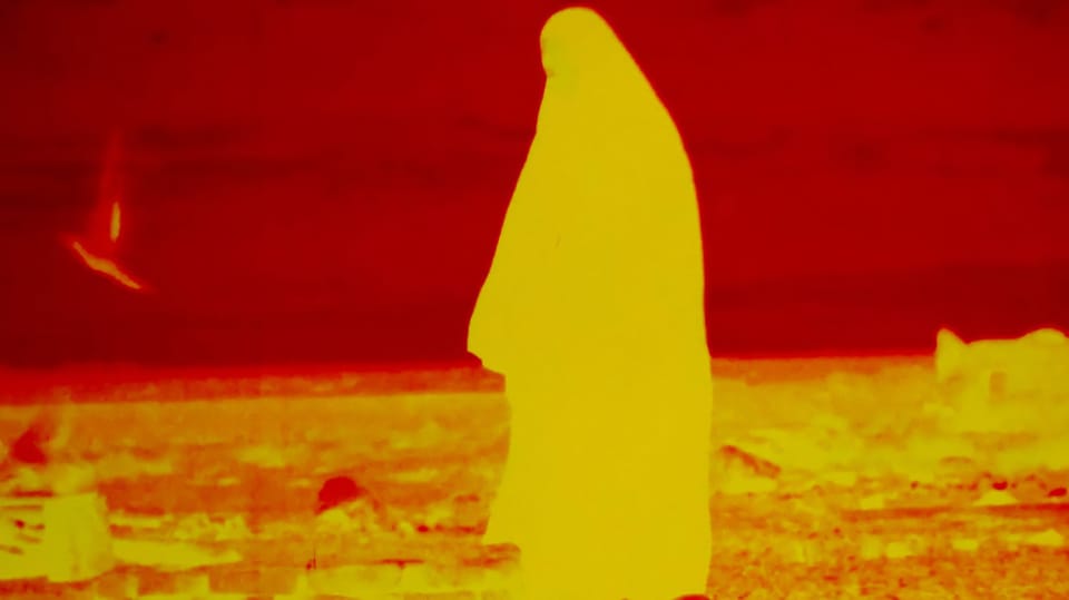  Documenta Madrid 2025