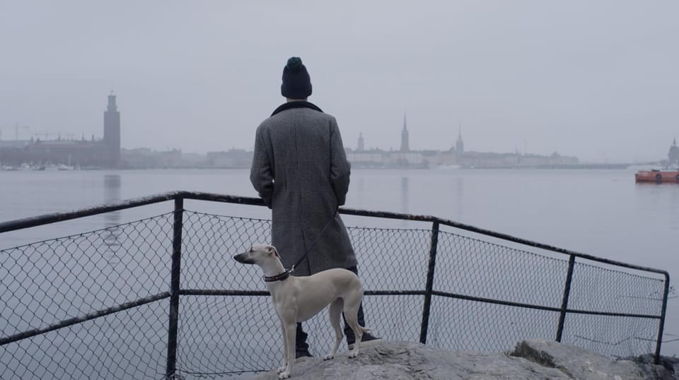 Sailor & I
