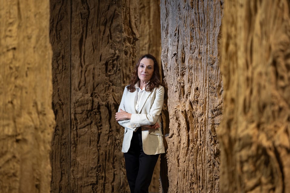 Cristina Iglesias: Passatges