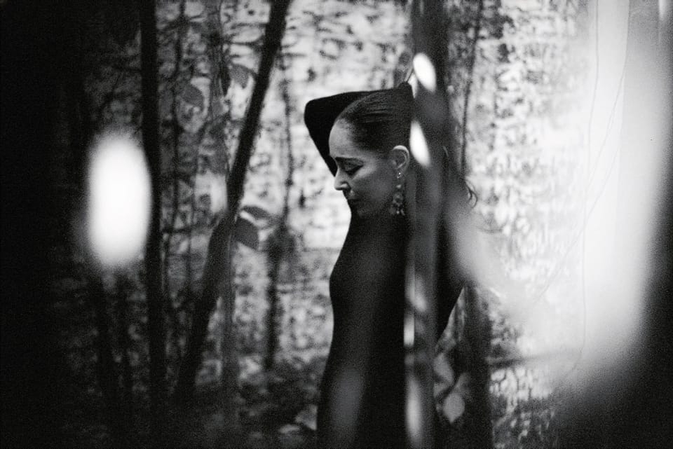 Shirin Neshat