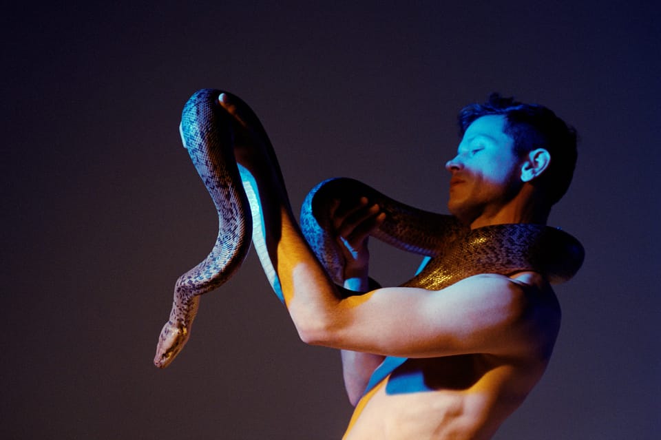 Perfume Genius