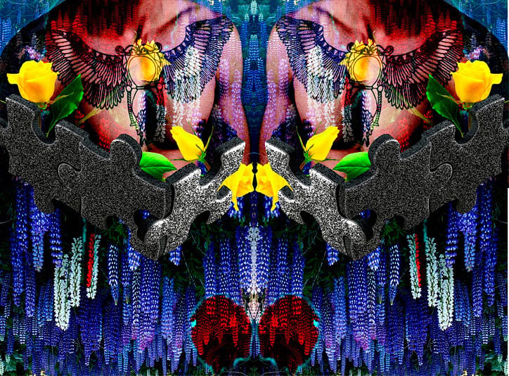 O1wlccxas8yy0higcobg.jpg