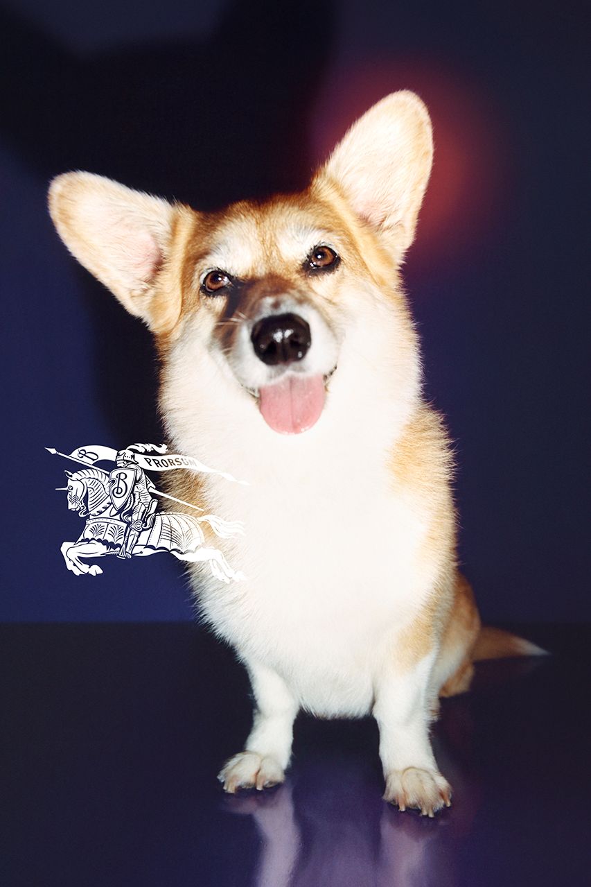 Burberry 4.jpg