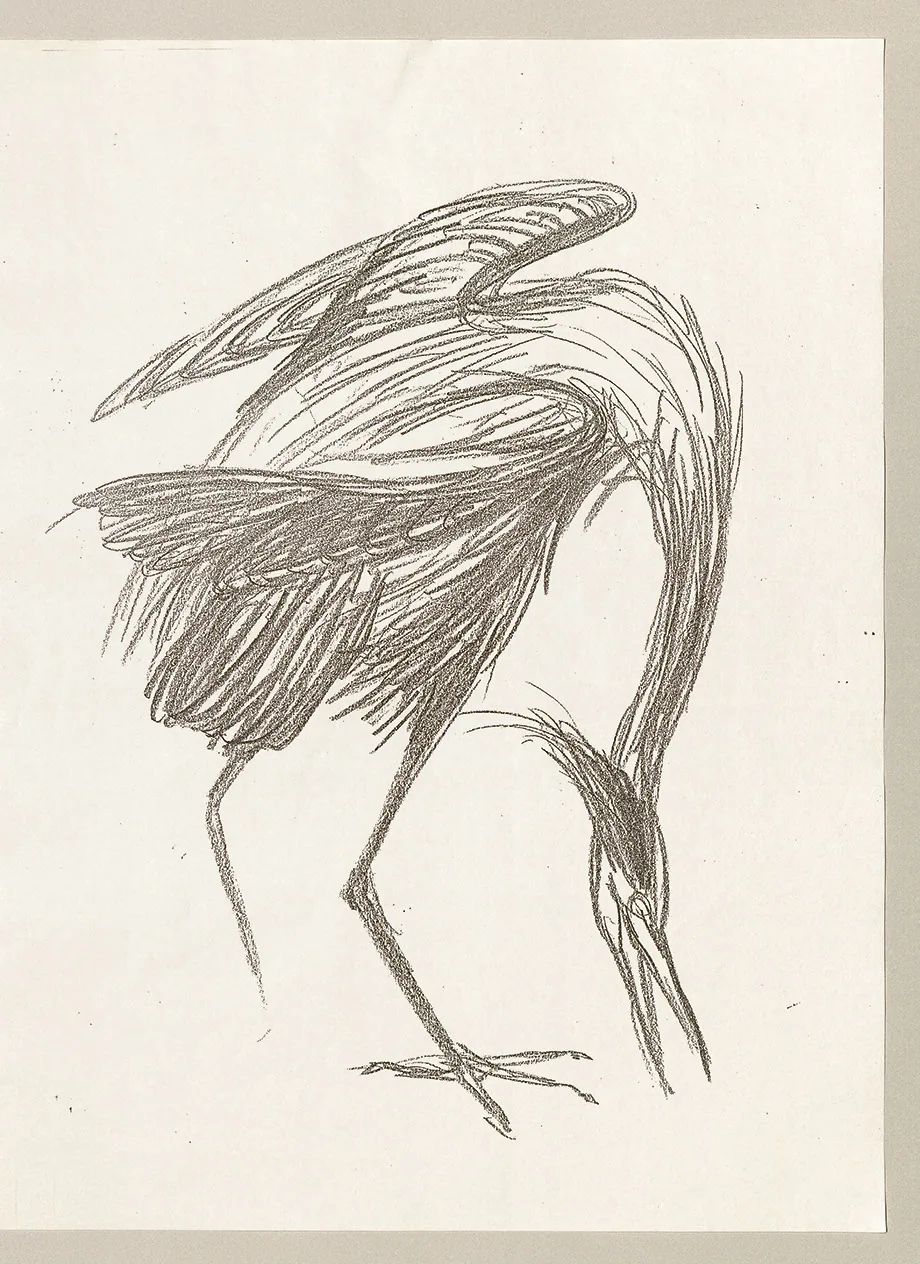 metal-yohji-yamamoto-drawings-02.webp