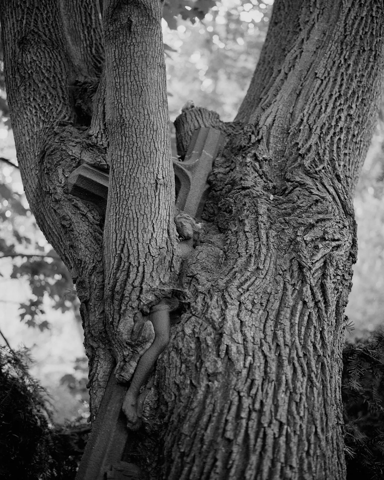 Tereza Zelenkova 02 Snake That Disappeared 06 Jesus