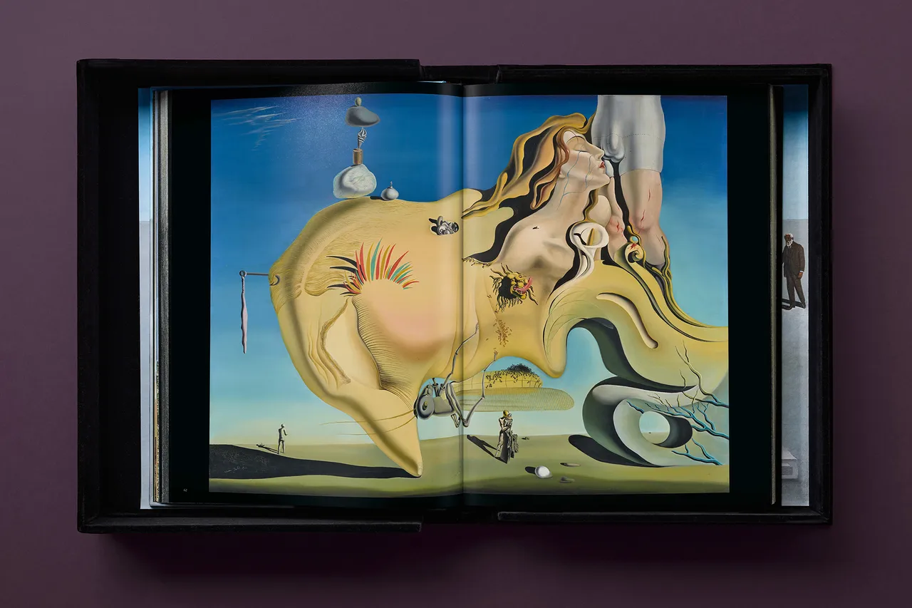 DALI_BABY_SUMO_CE_INT_BOXOPEN001-062-063-X_01147
