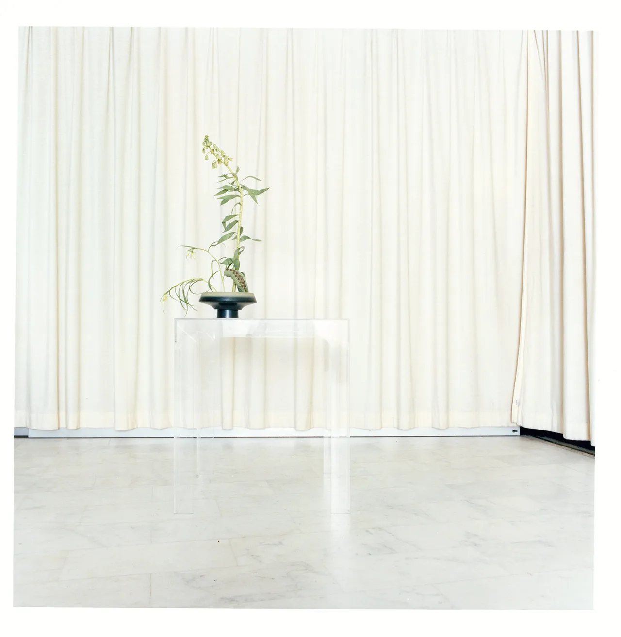 Fumiko Imano Loewe 14