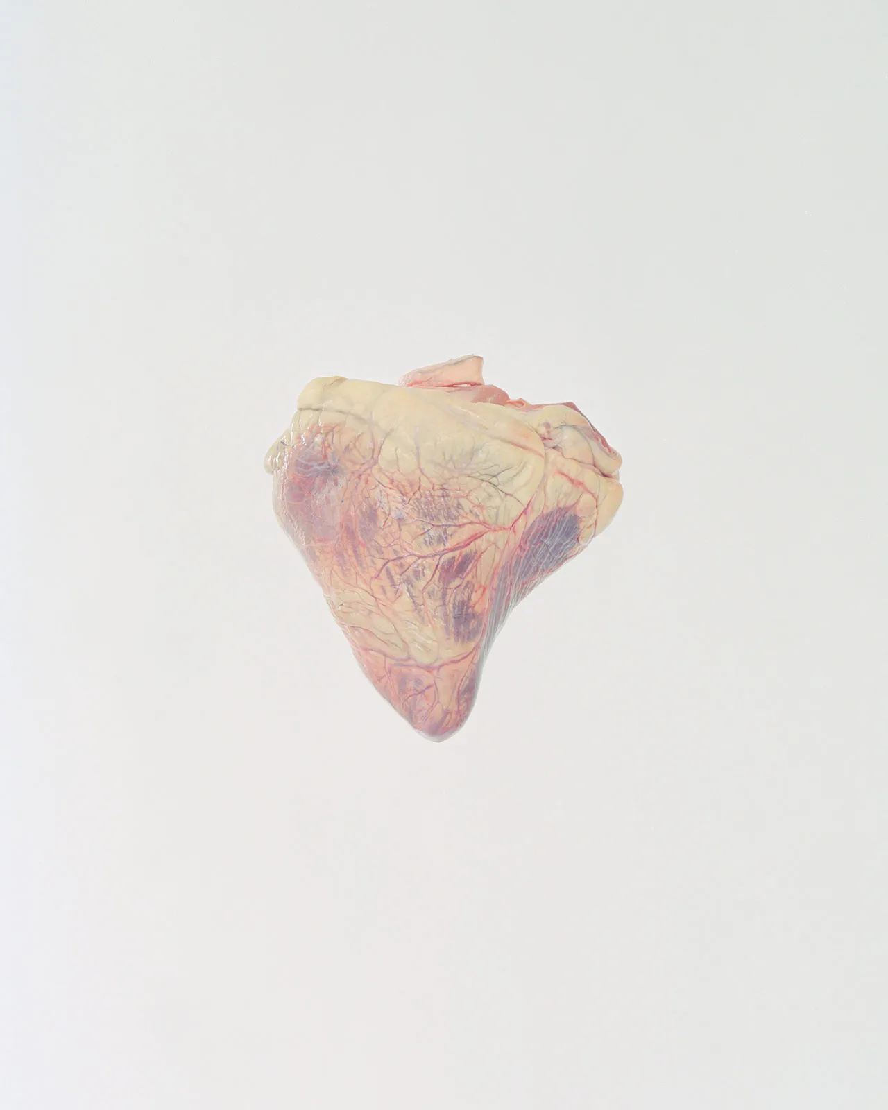 Ward Roberts Metalmagazine 3
