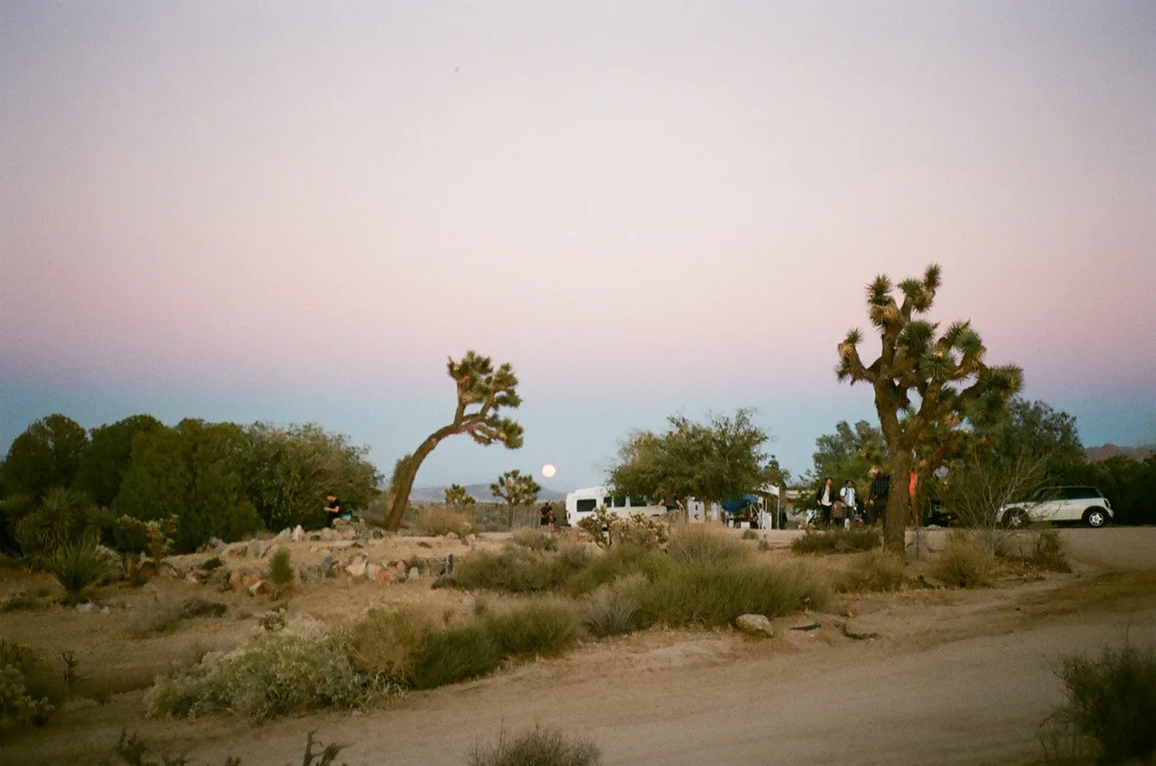 Desertdaze Metalmagazine 2