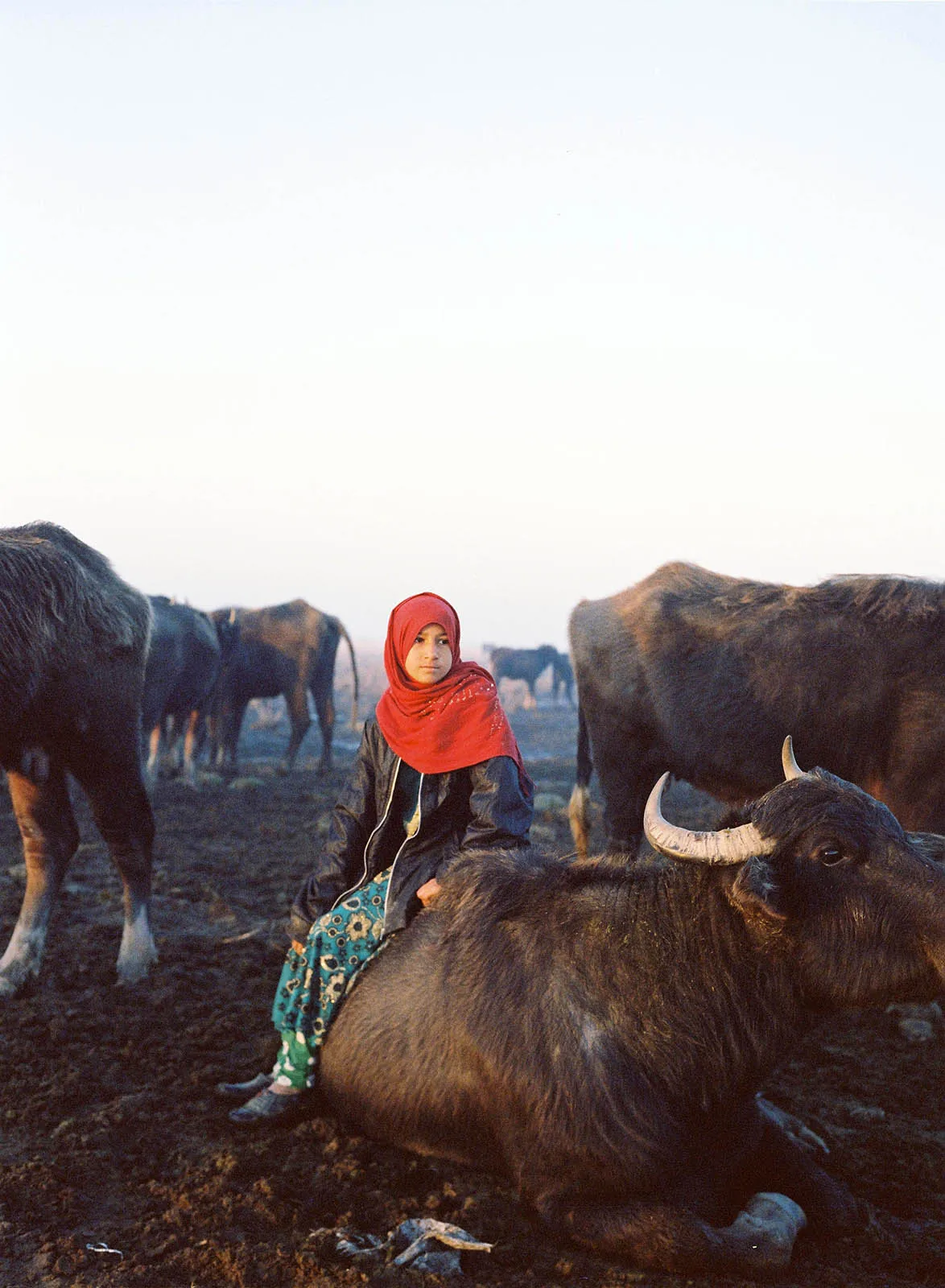 Tamara_Abdul_Hadi_8.jpg