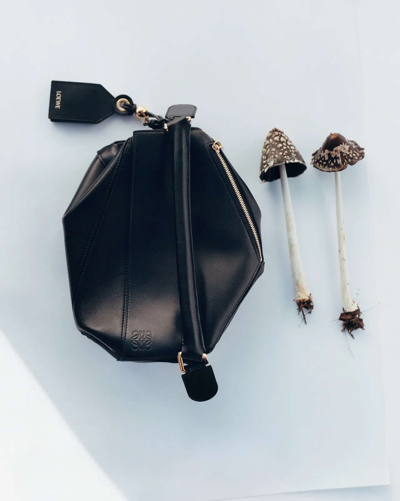 Loewe_Featherlight_Puzzle_1