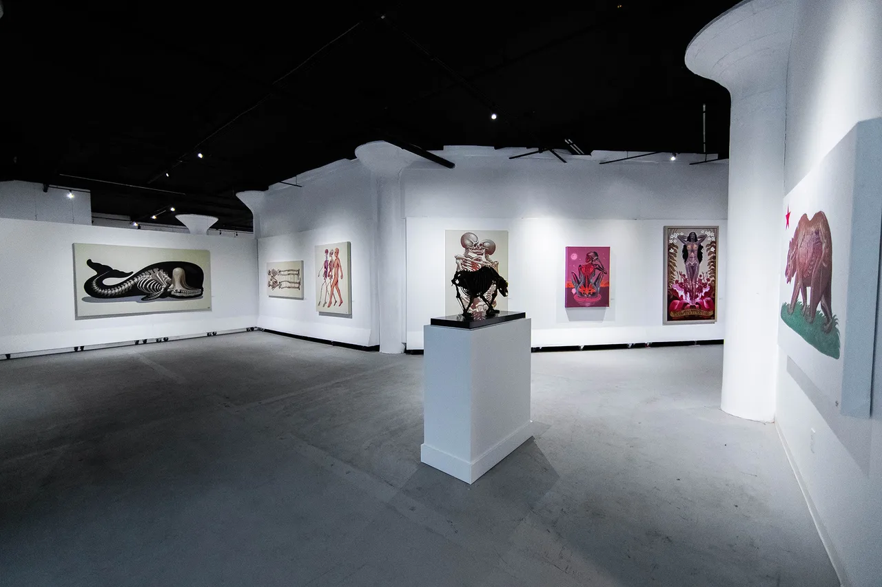 Mirus Gallery Install 12