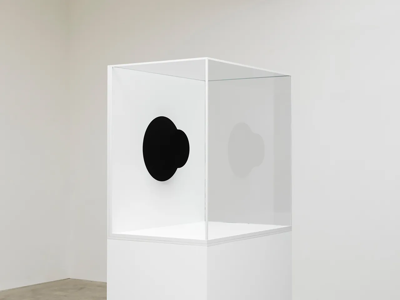Anish Kapoor Metalmagazine 1