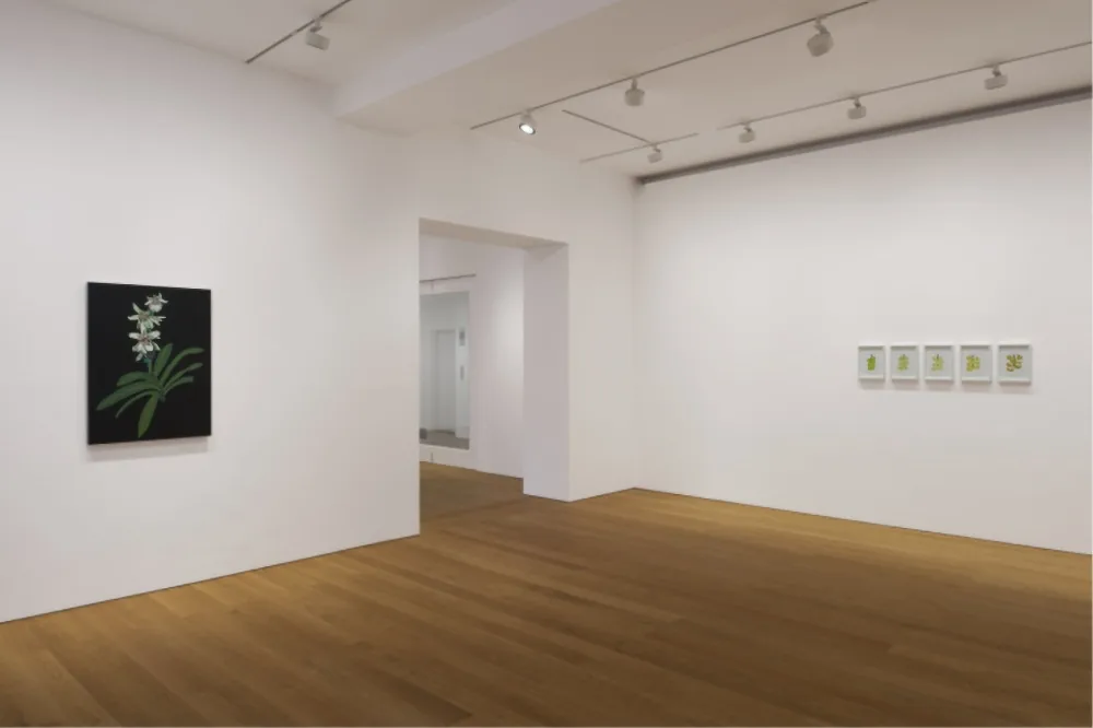 Jonas Wood 2021 Gagosian Hong Kong 08