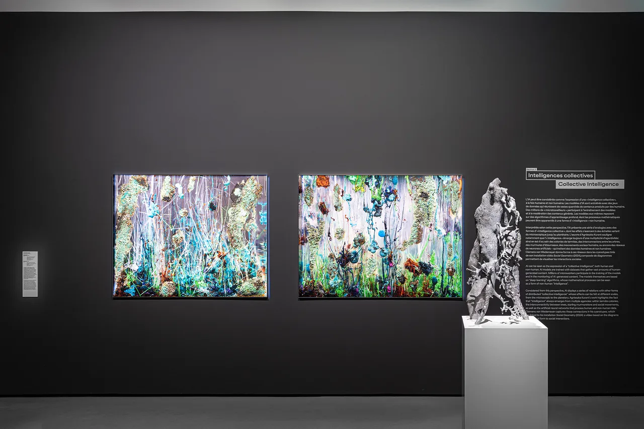 IA_SALLE_1_AGNIESZKA_KURANT_©JeudePaume-PhotographeAntoineQuittet