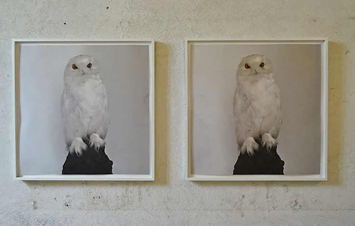 Roni Horn