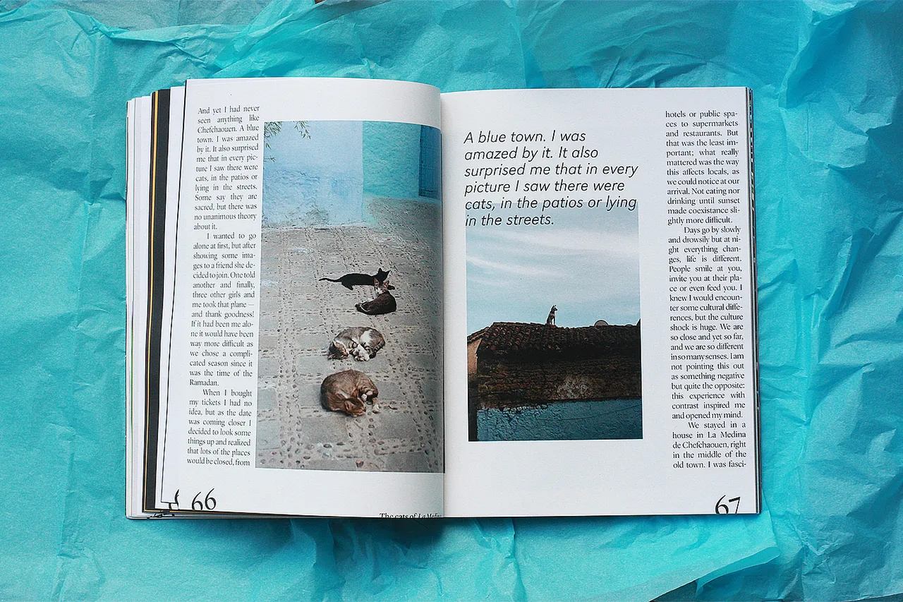 Agapornis Vol3 8