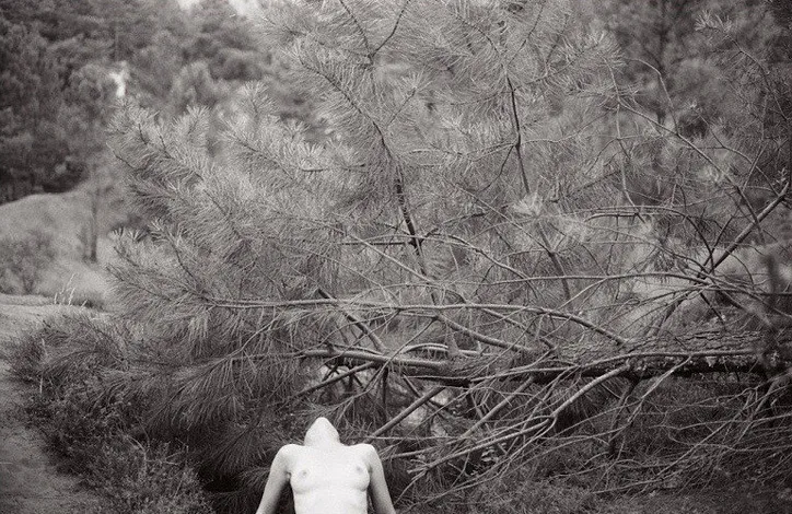 Julie Lansom