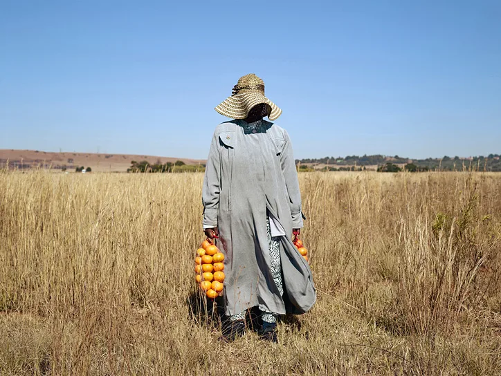 Pieter Hugo