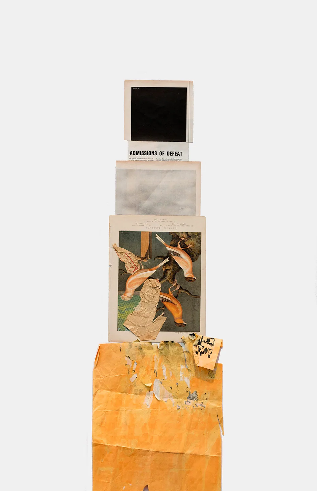 Anohni Totem
