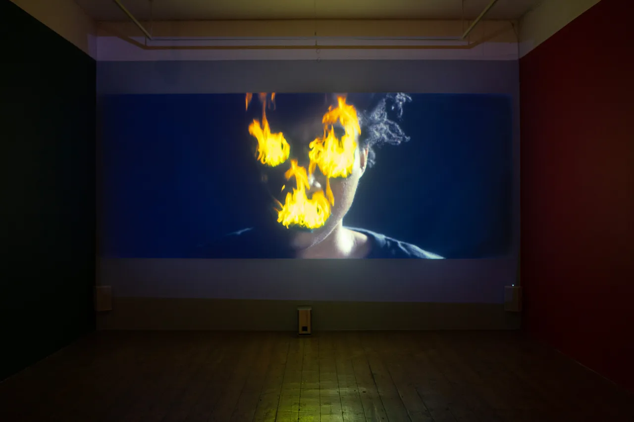 Kat-Anderson_Install-shots_6