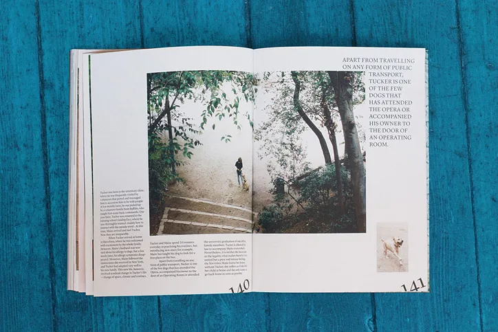 Agapornis Magazine