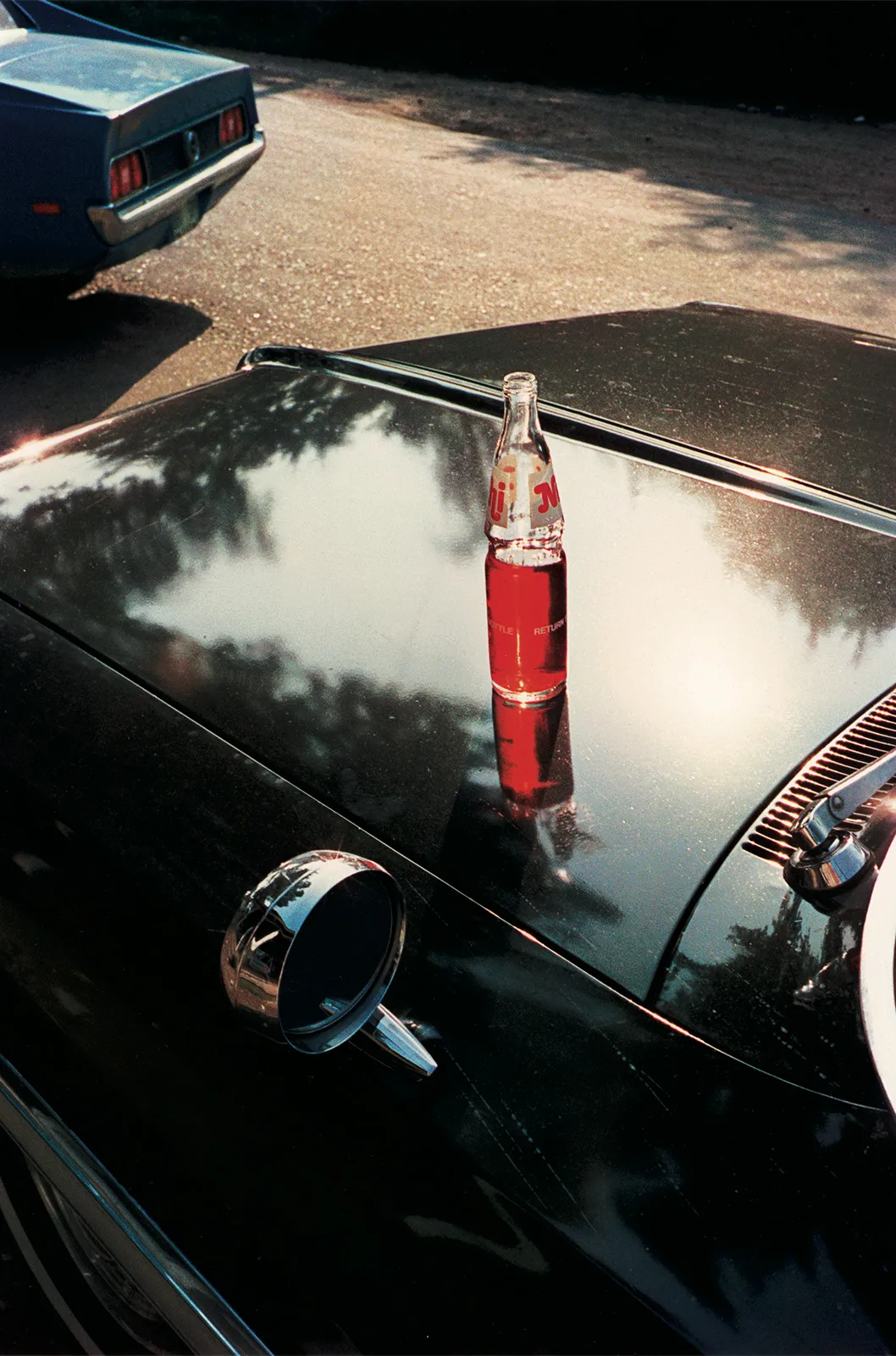 William Eggleston 12