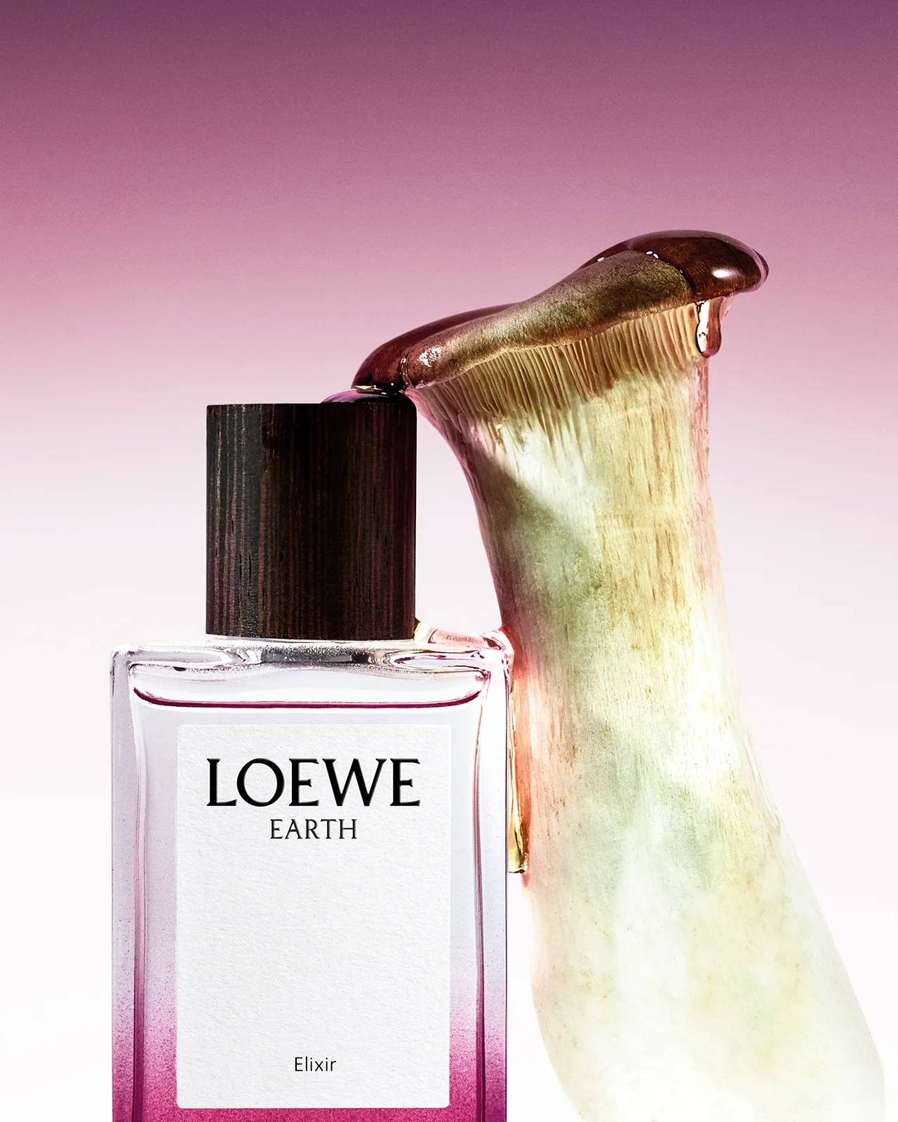 Loewe_Elixir_Still-life115017-1