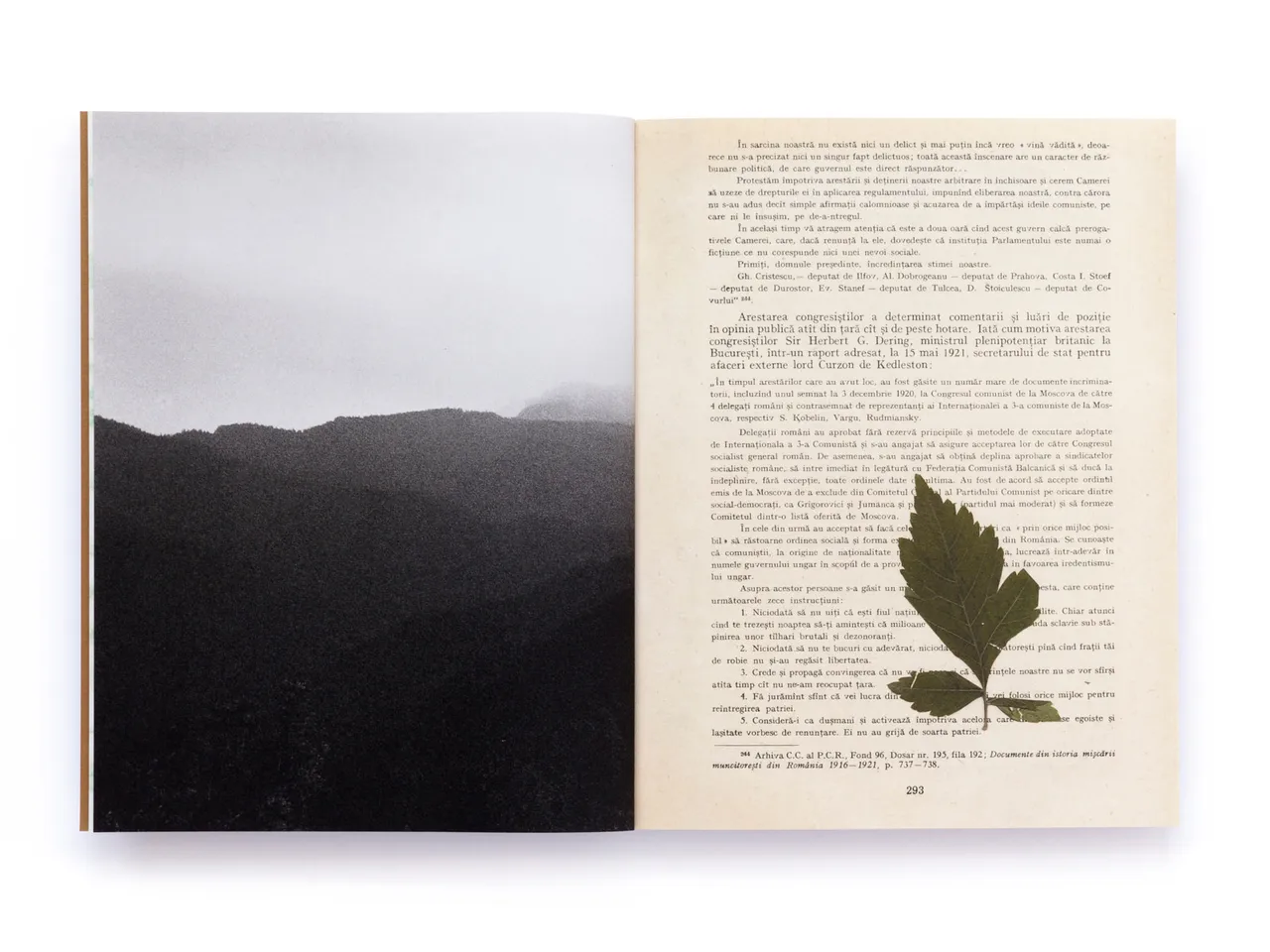 The Tree of Life Is Eternally Green Pascual Y Vincent Metal Magazine 032