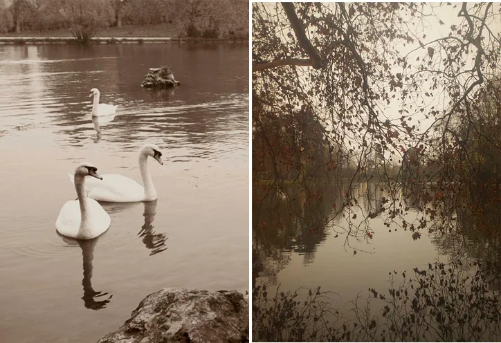 Camille Vivier