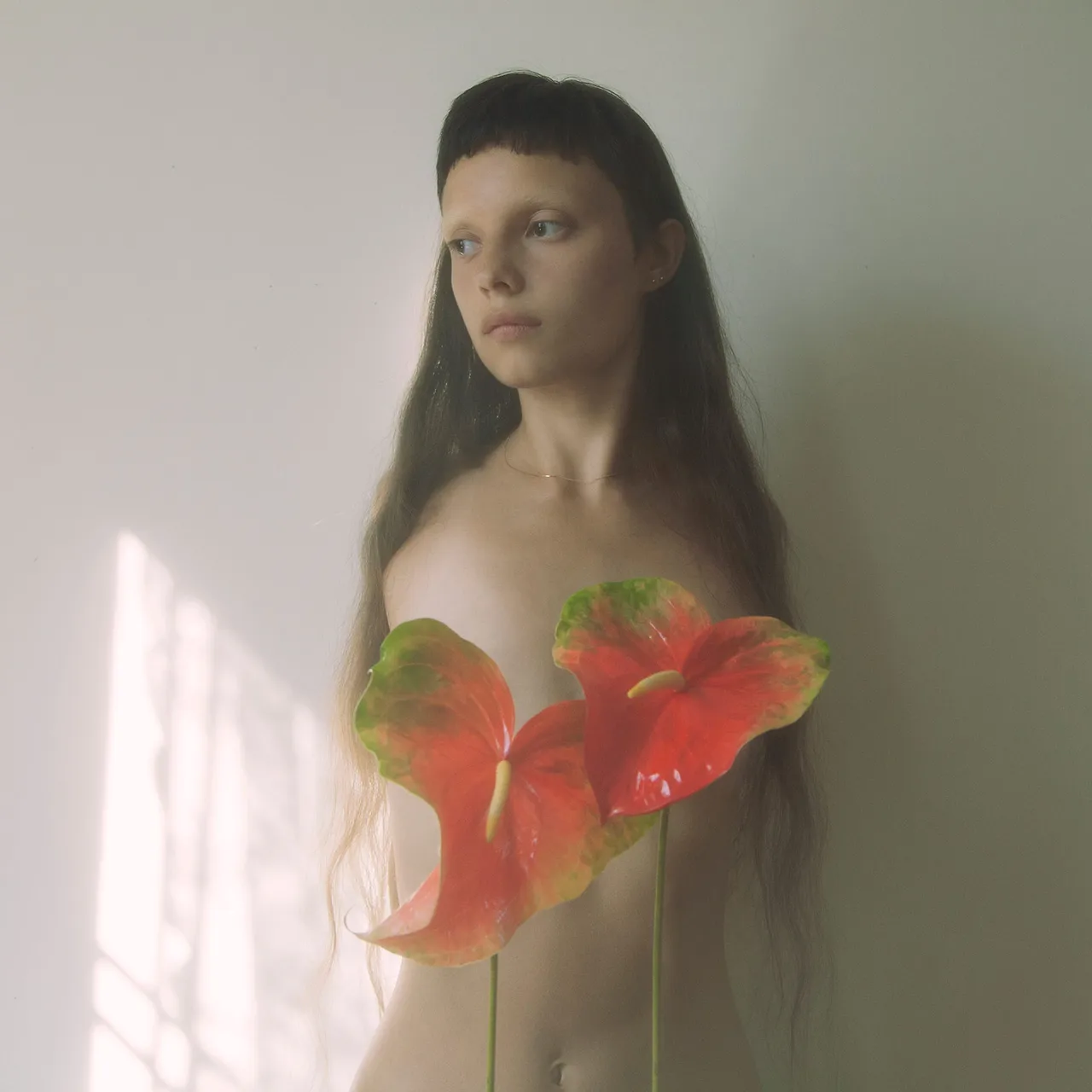 Jordan Tiberio 02
