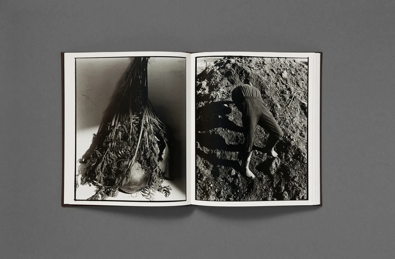 Luis Book Shots10
