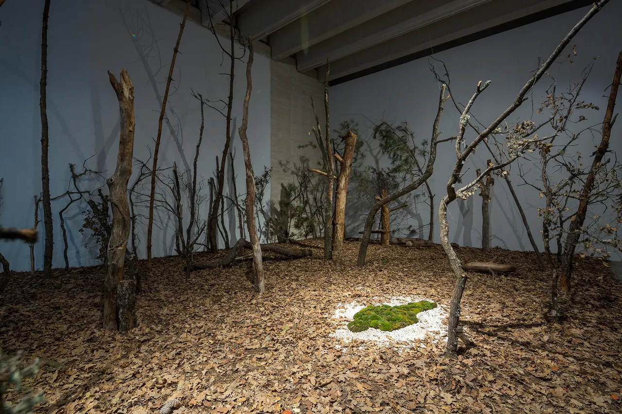 Ana-Mendieta_3