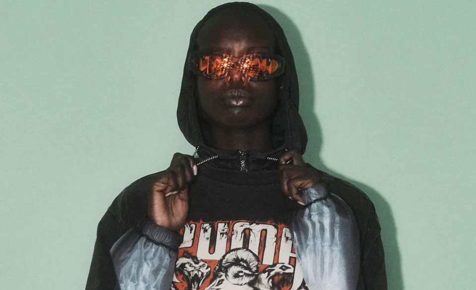 Puma x Aries