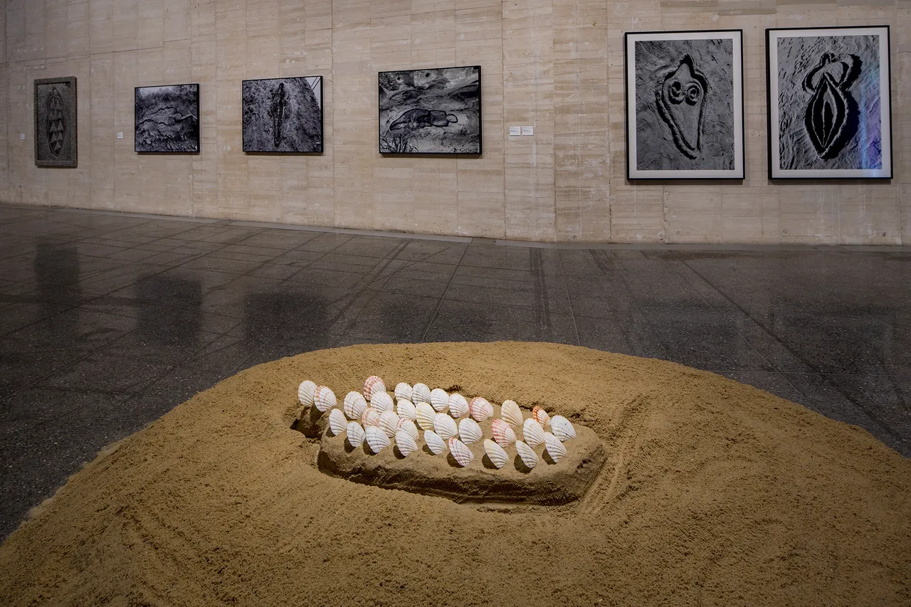Ana-Mendieta_8