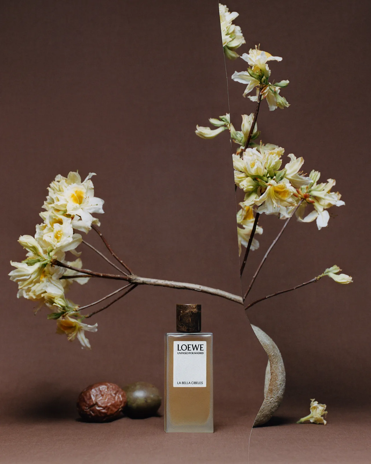 Loewe Perfumes 9
