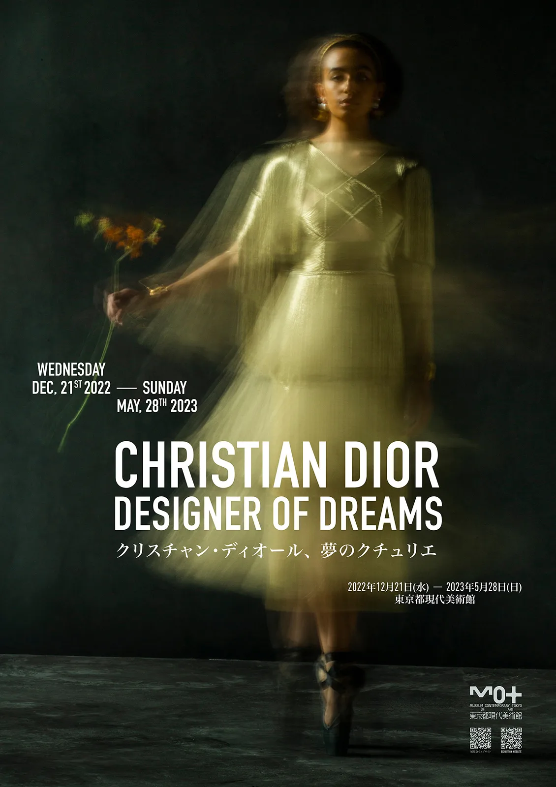 Christian Dior Designerof Dreams 1